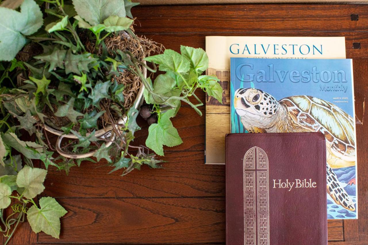 Relax At Our Beach Haven - Pet Friendly Galveston Luaran gambar